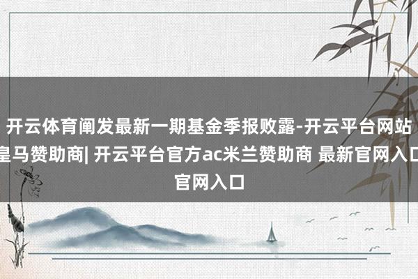 开云体育阐发最新一期基金季报败露-开云平台网站皇马赞助商| 开云平台官方ac米兰赞助商 最新官网入口