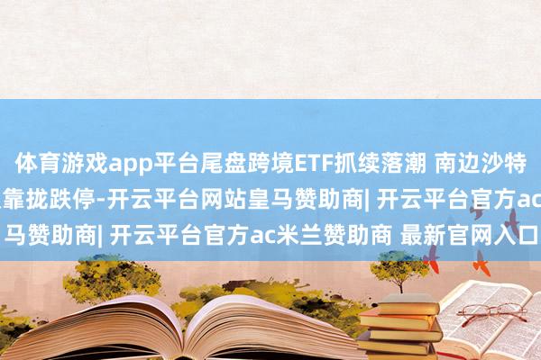 体育游戏app平台尾盘跨境ETF抓续落潮 南边沙特ETF、标普耗尽ETF双双靠拢跌停-开云平台网站皇马赞助商| 开云平台官方ac米兰赞助商 最新官网入口