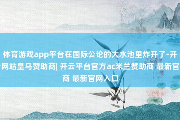 体育游戏app平台在国际公论的大水池里炸开了-开云平台网站皇马赞助商| 开云平台官方ac米兰赞助商 最新官网入口